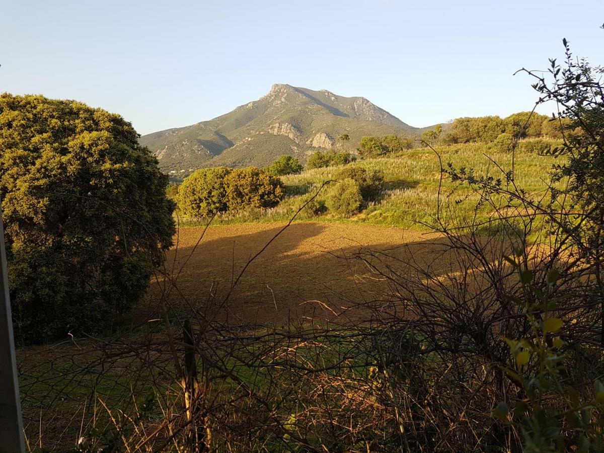 Villa Un Charme Absolu Bastelicaccia Esterno foto